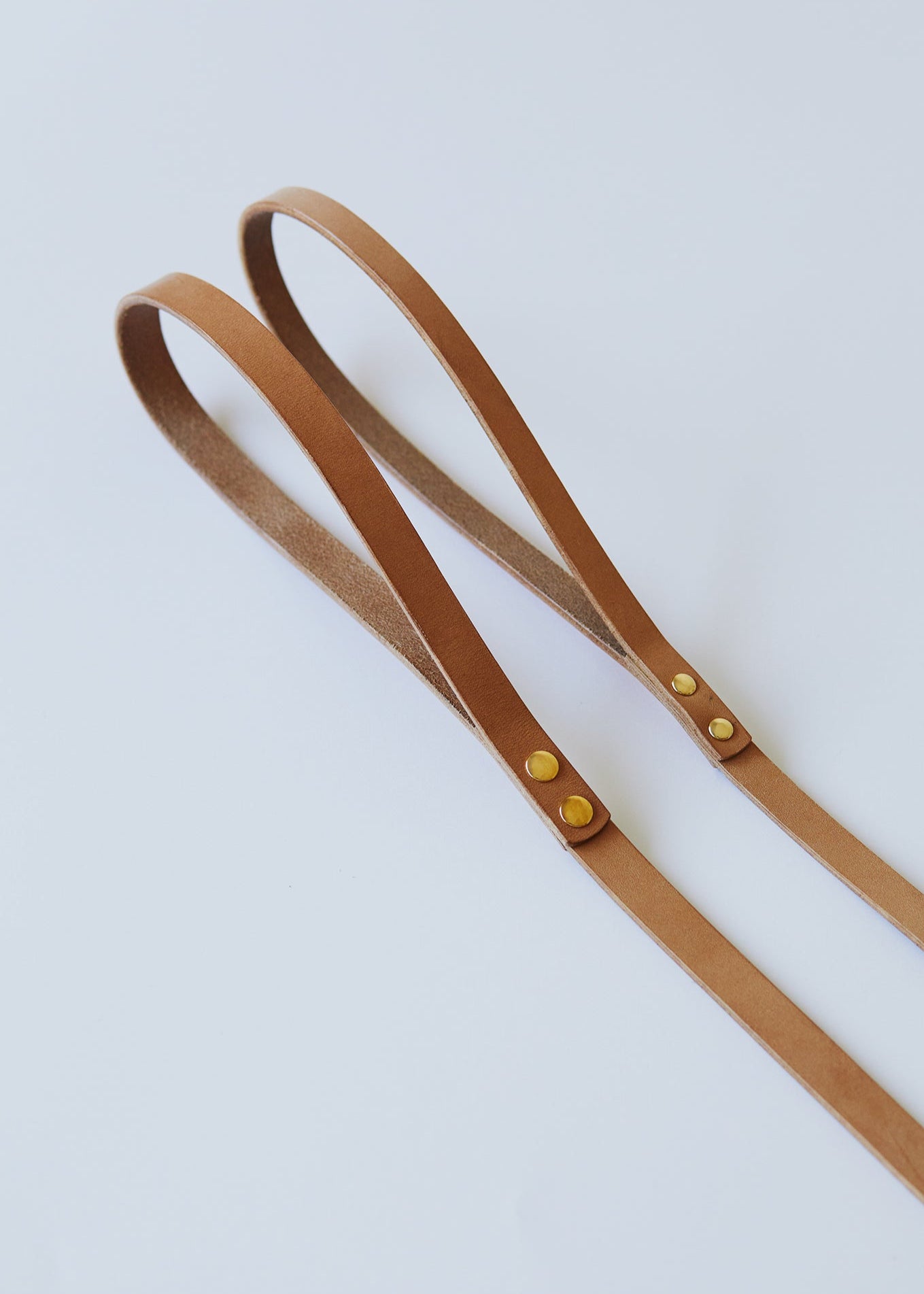 Dog Lead